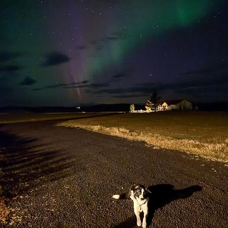 Fossar Villa Kirkjubæjarklaustur Exteriér fotografie